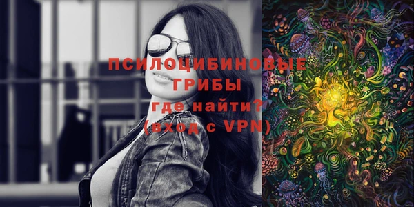 сатива Рославль